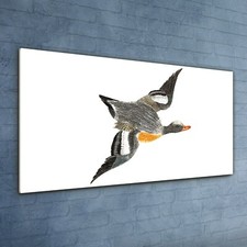 Druck auf glas wandbild - auf,