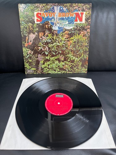 Savoy brown a - brown, /