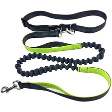 Grau Gr n Hundeleine Bungee