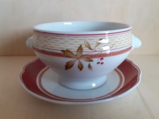 Hutschenreuther M Theresia Medley New England Löwenkopfterrine Suppentasse m. U.