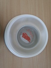 Kaninchen Oder Meerschweinchen