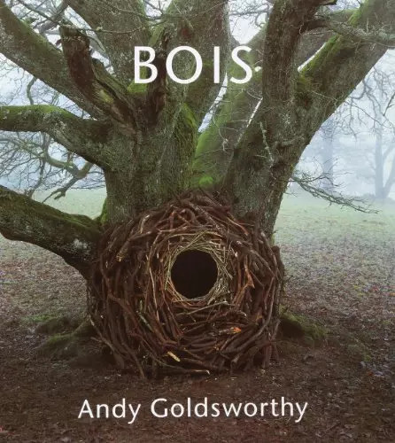 Bois andy goldsworthy - bois,,