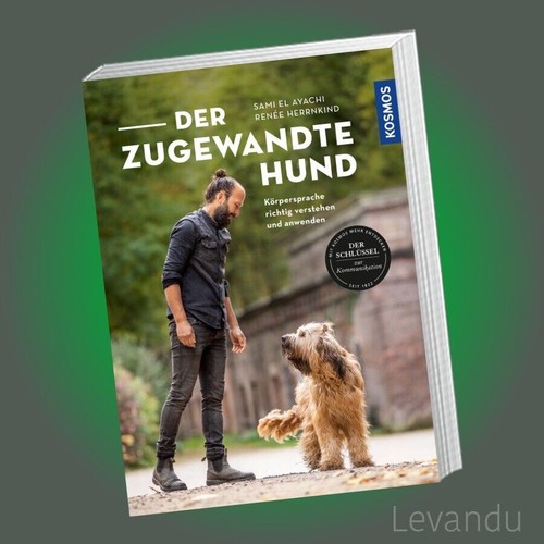 Der zugewandte hund sami el - sami,