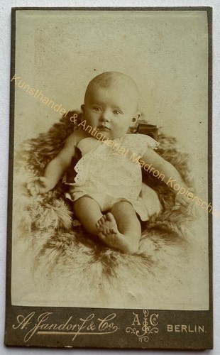Orig cdv foto fotografie - cdv,