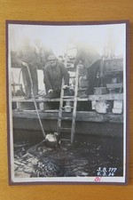 altes Foto Helmtaucher 1934 / Taucher