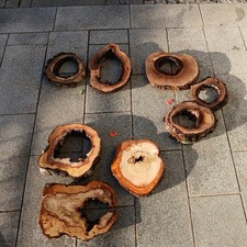 Deko kernfaul gestockte hohle