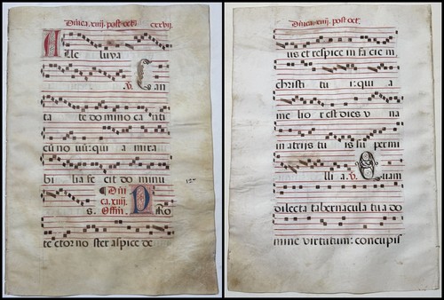 Antiphonar antiphonary - antiphonar,