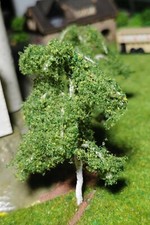 3 Birken, 80 mm, 8 cm hoch in Premium Qualität, jeder Baum ist ein Unikat