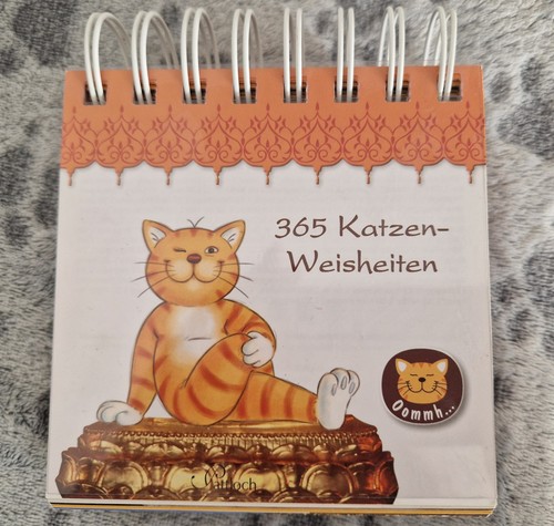 Katzen kalender oommh - katzen,