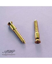 2 Schrauben Zapfen Gold Floyd