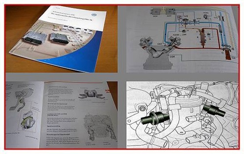 Ssp 304 phaeton - 304,
