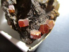 VANADINIT XX  bis 5 mm MIBLADEN  MAROKKO Stufe 4,5 x 3 cm auf Limonit