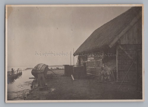 Dümmer see 1931 - dümmer,