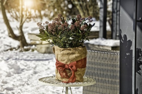 Windhager winterschutz für - windhager,