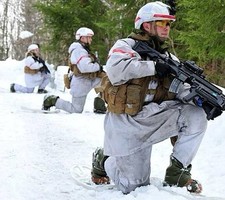 NORWEGISCHE ARMEE MITTET
