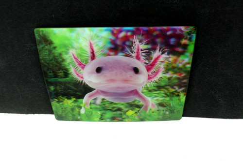 Axolotl kühlschrank - 3,