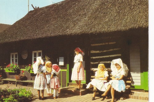 Błota spreewald sorbische - błota,