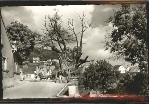 Dannenfels donnersberg - dannenfels, a.