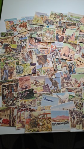 Sanella sammel bilder 89 - sammel,