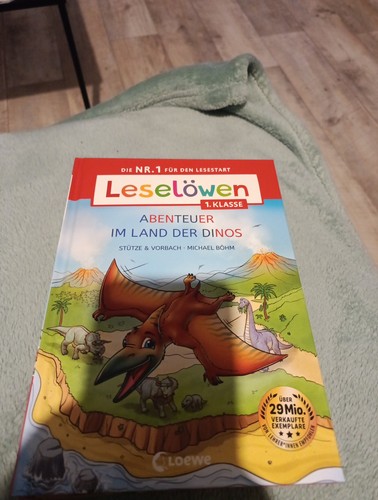 Leselöwen klasse - klasse,