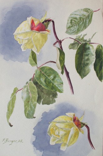 Fritz berger blumenstudie - berger,