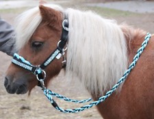 Strass shetty trense - strass,