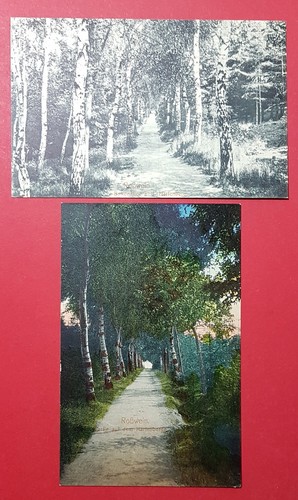 Roßwein sa um 1910 - x,
