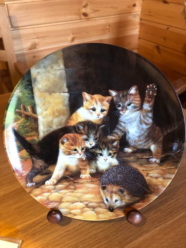 Wandteller katzen motiv - wandteller,