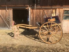 Gig Pferdekutsche Gebraucht , sehr guter Zustand Hydraulische Bremse 