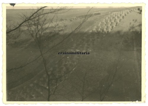 Orig foto höckerlinie - foto,