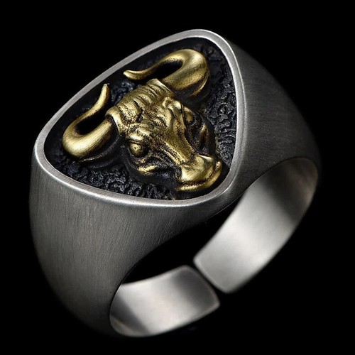 Ring stier matador bulle - stier,