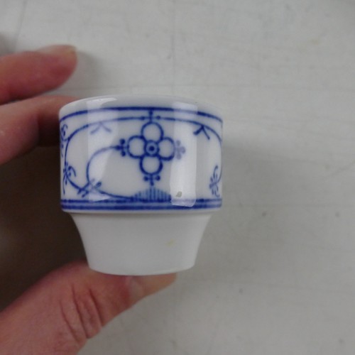 Winterling indisch blau - indisch,