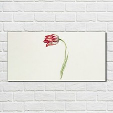 Glasbilder Wandbild Druck auf