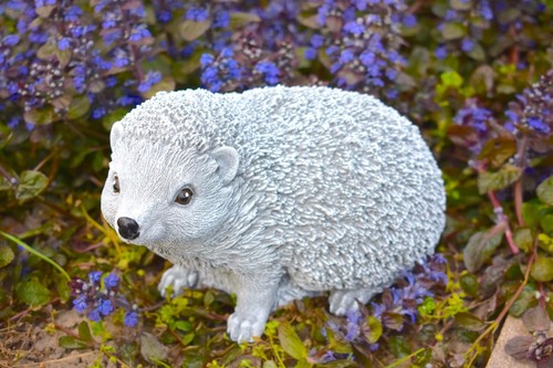 Gartenfigur gartendeko igel - ,