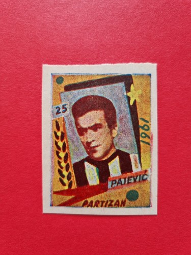 Bozidar pajevic - bozidar, (fc