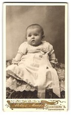 Fotografie Atelier Maass