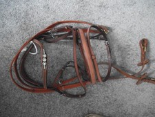 Warmblut Trense engl. komb. Reithalfter beige mit Gurtzügeln