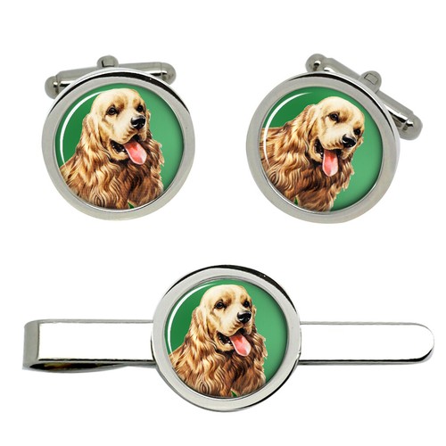Amerikanisch cocker spaniel - cocker,
