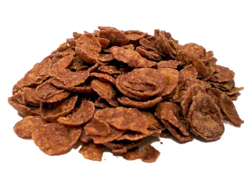 1000g bio schoko flakes - bio,