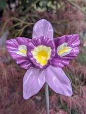 Blüte orchidee keramik - blüte,