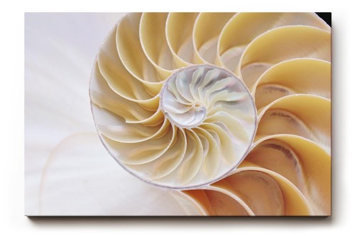Sinus art wandbild - sinus,