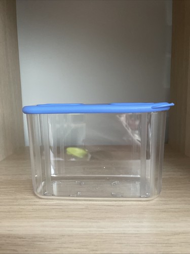 Tupperware clear mates - clear,