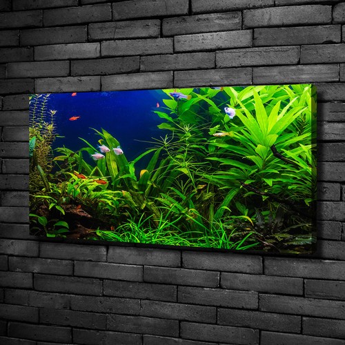 Leinwandbild kunst druck - leinwandbild, kunst-druck