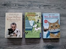 Bücherpaket Tiere - Hunde & Katzen  - Bob, der Streuner - Und dann kam Luna