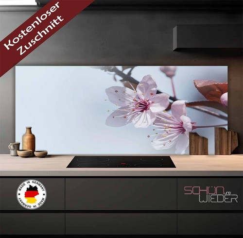 Küchenrückwand spritzschutz - küchenrückwand,