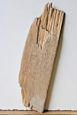 Treibholz Schwemmholz Driftwood 1 kleines  Brett  Regal Dekoration Basteln 33 cm