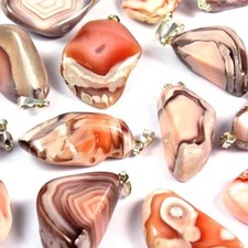 Premium Aprikosen - Achat