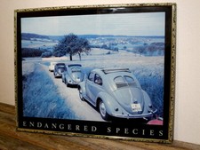 Käfer  VW   Brezelkäfer