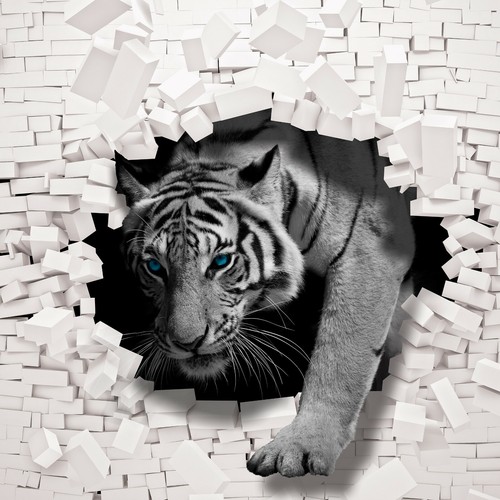 Fototapete effekt tiger - 3d,