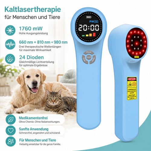Tier lasertherapie hund katze - tier,